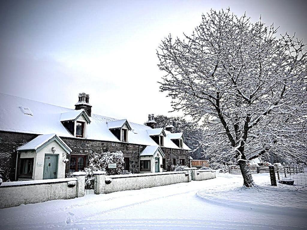 Rosemount Bothy - Highland Cottage Гарв Екстер'єр фото